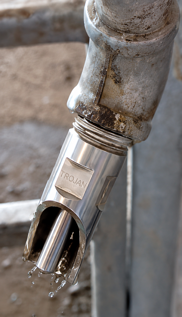 Pig water nipple installed at the correct height for proper livestock watering